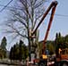 Výškové práce - výrezy stromov v nebezpečných lokalitách